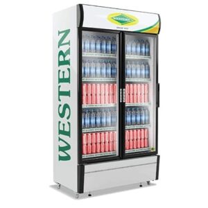 Western SRC 1005 GL Visi cooler in Goa