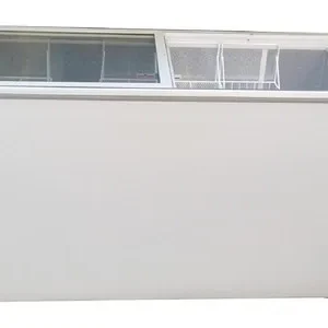 Elanpro EKG 435 Flat Glass Top 2 door Deep freezer in Goa